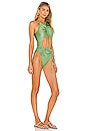 view 2 of 3 СЛИТНЫЙ КУПАЛЬНИК DAHO in Green