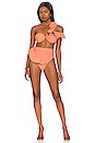 view 4 of 4 Kiara Bikini Bottom in Peach