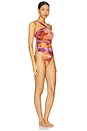 view 3 of 5 Tika One Piece Swimsuit in Dandi Print