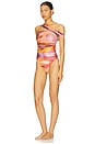 view 4 of 5 Tika One Piece Swimsuit in Dandi Print