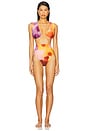 view 4 of 4 Kuwa Bikini Bottom in Dandi Print