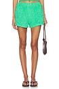 view 1 of 6 Cruise Dolphin Terry Short in Tropical Green