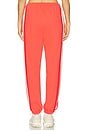 view 4 of 6 Bisous Trackpant in Coral