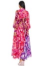 view 4 of 4 Collisions Smock Maxi Dress in Kaleidoscopic Rose