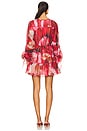 view 3 of 3 Flora Mini Dress in Prismatic Floral Red