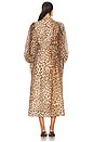 view 3 of 3 Isabella Shirtdress in Leopard