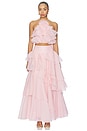 view 6 of 6 Villa Maxi Skirt in Tea Blossom