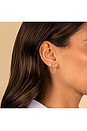 view 3 of 3 Double Butterfly Chain Stud Earring in Gold