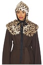 view 2 of 2 Lynx Faux Fur Collar in Lynx
