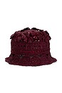 view 1 of 2 ACCESORIOS CASS in Wine
