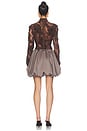 view 4 of 4 ROBE DE COCKTAIL EN DENTELLE JETTE  in Brown & Taupe