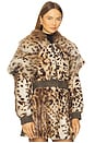 view 3 of 5 Valde Faux Fur Lynx Bomber Jacket in Tan & Brown