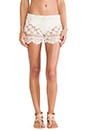 view 1 of 4 Antoinette Shorts in Cream