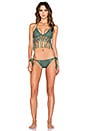 view 4 of 4 Kate Bikini Bottom in Seaweed