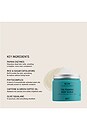view 4 of 7 EXFOLIANT CORPS THE FOAMING BODY SCRUB SC.04 HALCYON SUMMERS in 