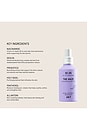 view 5 of 7 BRUME CORPS THE HAZE DEODORIZING BODY MIST SC.05 COLUMBIA ROAD in 