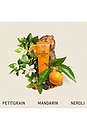 view 2 of 6 DÉODORANT THE DEODORANT BALM in Sc.01 Orange Grove