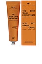 view 1 of 6 GEL DE BAÑO THE BODY WASH CONCENTRATE in Sc.01 Orange Grove