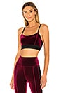 view 1 of 4 Velvet Bra in Bordeaux