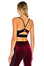 view 3 of 4 Velvet Bra in Bordeaux