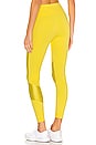 view 3 of 4 Peak Tight in Blazing Yellow