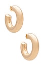 view 1 of 3 Allegra Hoop Earrings in Gold