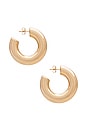 view 2 of 3 Allegra Hoop Earrings in Gold