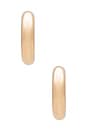 view 3 of 3 Allegra Hoop Earrings in Gold