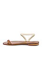 view 5 of 5 SANDALES ANGELA in Ecru & Tobacco