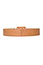 view 2 of 2 Square Buckle Belt in Natural