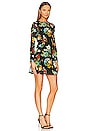 view 2 of 3 Delora Long Sleeve Flare Mini Dress in Atrium Floral Small
