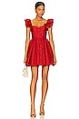 view 1 of 4 Bina Mini Dress in Perfect Ruby