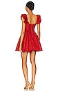 view 3 of 4 Bina Mini Dress in Perfect Ruby