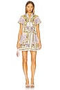 view 1 of 3 Lucy Mini Dress in Day Dreamer