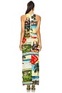 view 4 of 4 Pania Maxi Dress in Island Dreams