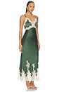 view 3 of 5 ROBE CARACO JULIETTA  in Dark Fern & Biscotti