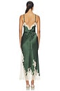 view 4 of 5 ROBE CARACO JULIETTA  in Dark Fern & Biscotti