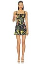 view 1 of 3 Julia Scoop Neck Mini Dress in Desert Sprigs Black