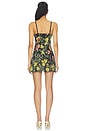 view 3 of 3 Julia Scoop Neck Mini Dress in Desert Sprigs Black