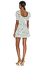 view 3 of 3 Crawford Mini Dress in Coastal Gardens Powder Blue