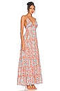 view 2 of 3 Karolina Halter Maxi Dress in Forever Yours Sienna
