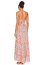 view 3 of 3 Karolina Halter Maxi Dress in Forever Yours Sienna