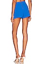 view 3 of 4 Donald Pintuck Short in Palace Blue