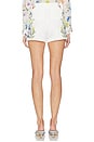 view 4 of 6 Jonah Lower Embroided Mini Short in Twisting Vines Off White