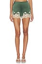 view 1 of 6 Elissa Cutaway Lace Short in Dark Fern