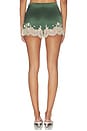 view 4 of 6 Elissa Cutaway Lace Short in Dark Fern