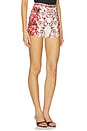 view 2 of 6 Hera Back Zip Short in Winding Road