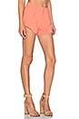 view 2 of 3 Butterfly Short in Coral