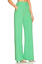 view 2 of 4 Dylan Wide Leg Pant in Garden Green