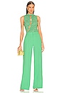 view 4 of 4 Dylan Wide Leg Pant in Garden Green